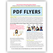 PDF Flyers